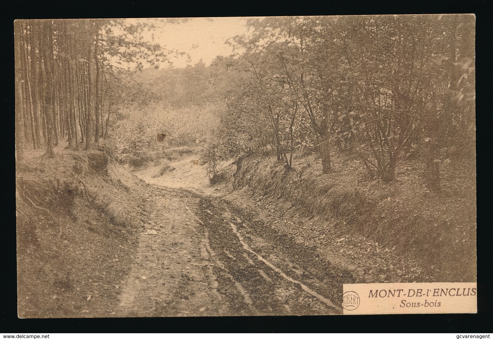 MONT DE L'ENCLUS  -- SOUS BOIS - Kluisbergen