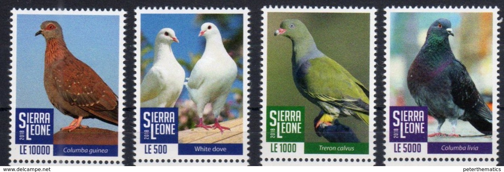 SIERRA  LEONE, 2018, BIRDS, PIGEONS,4v - Other & Unclassified