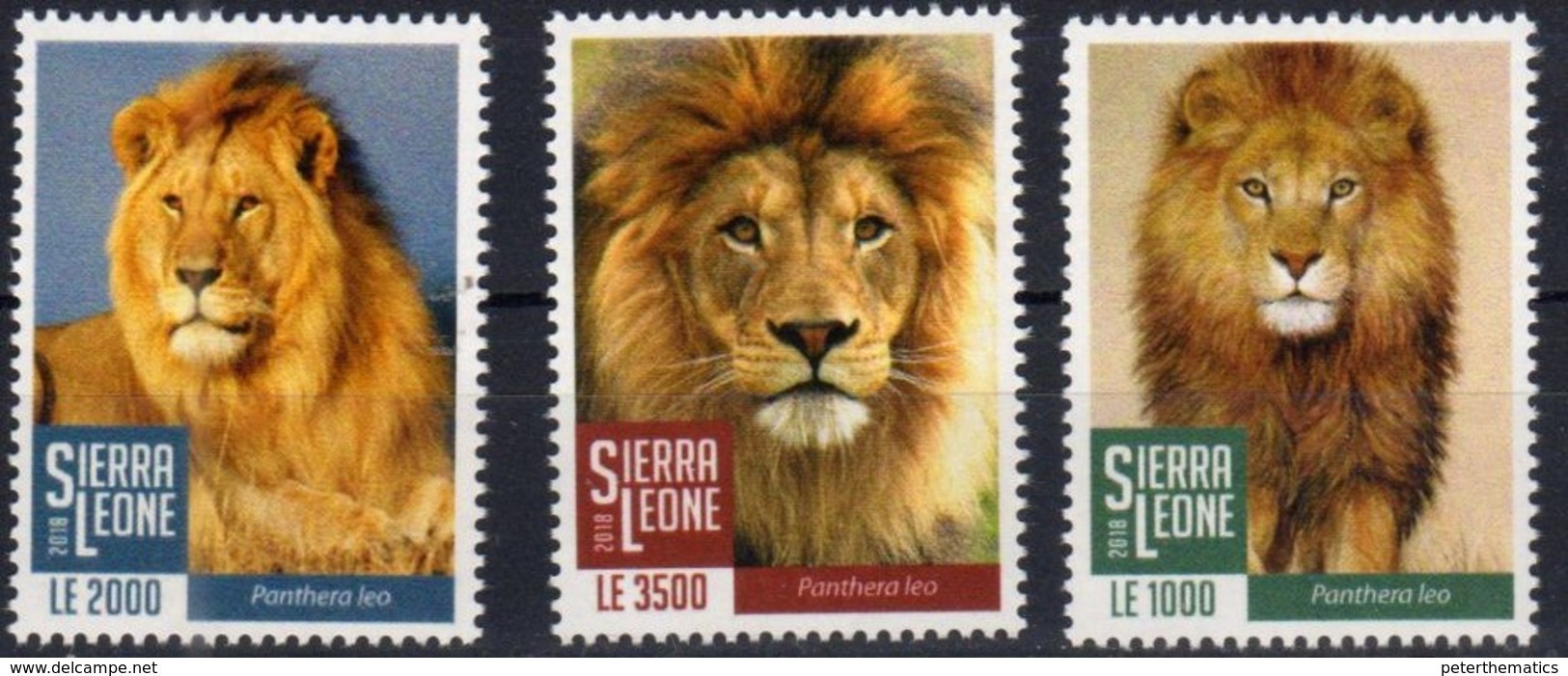 SIERRA  LEONE, 2018, FAUNA, LIONS, 3v - Big Cats (cats Of Prey)