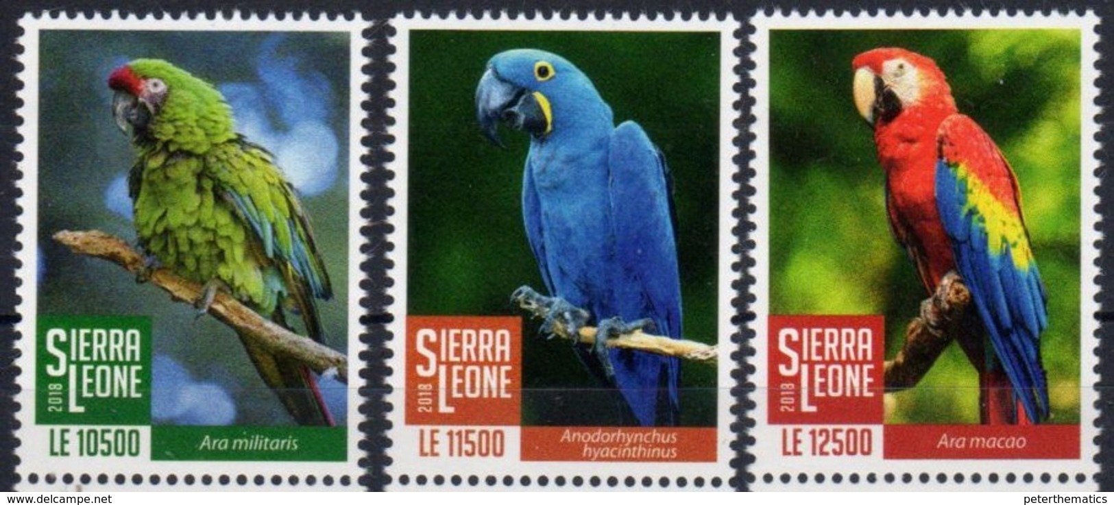 SIERRA  LEONE, 2018, BIRDS, PARROTS, MACAWS, 3v - Parrots