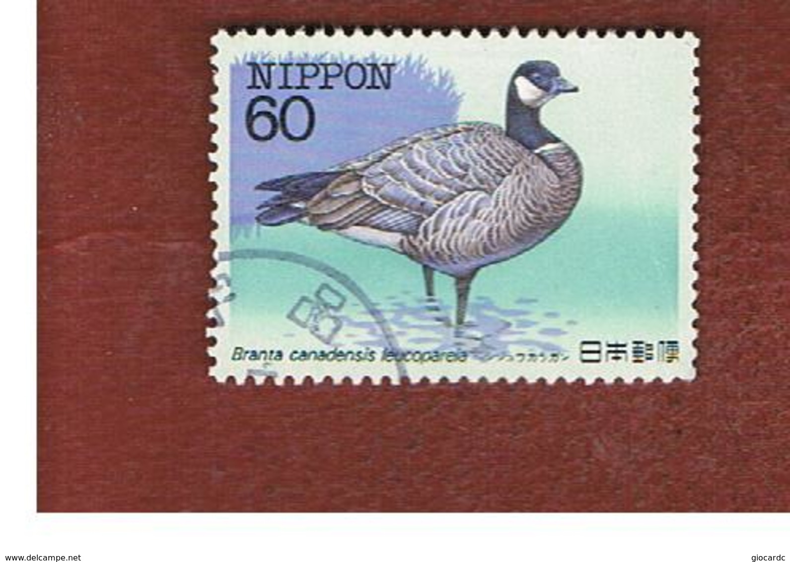 GIAPPONE  (JAPAN) - SG 1725 -   1983 ENDANGERED BIRDS: ALEUTIAN CRACKLING GOOSE    - USED° - Used Stamps