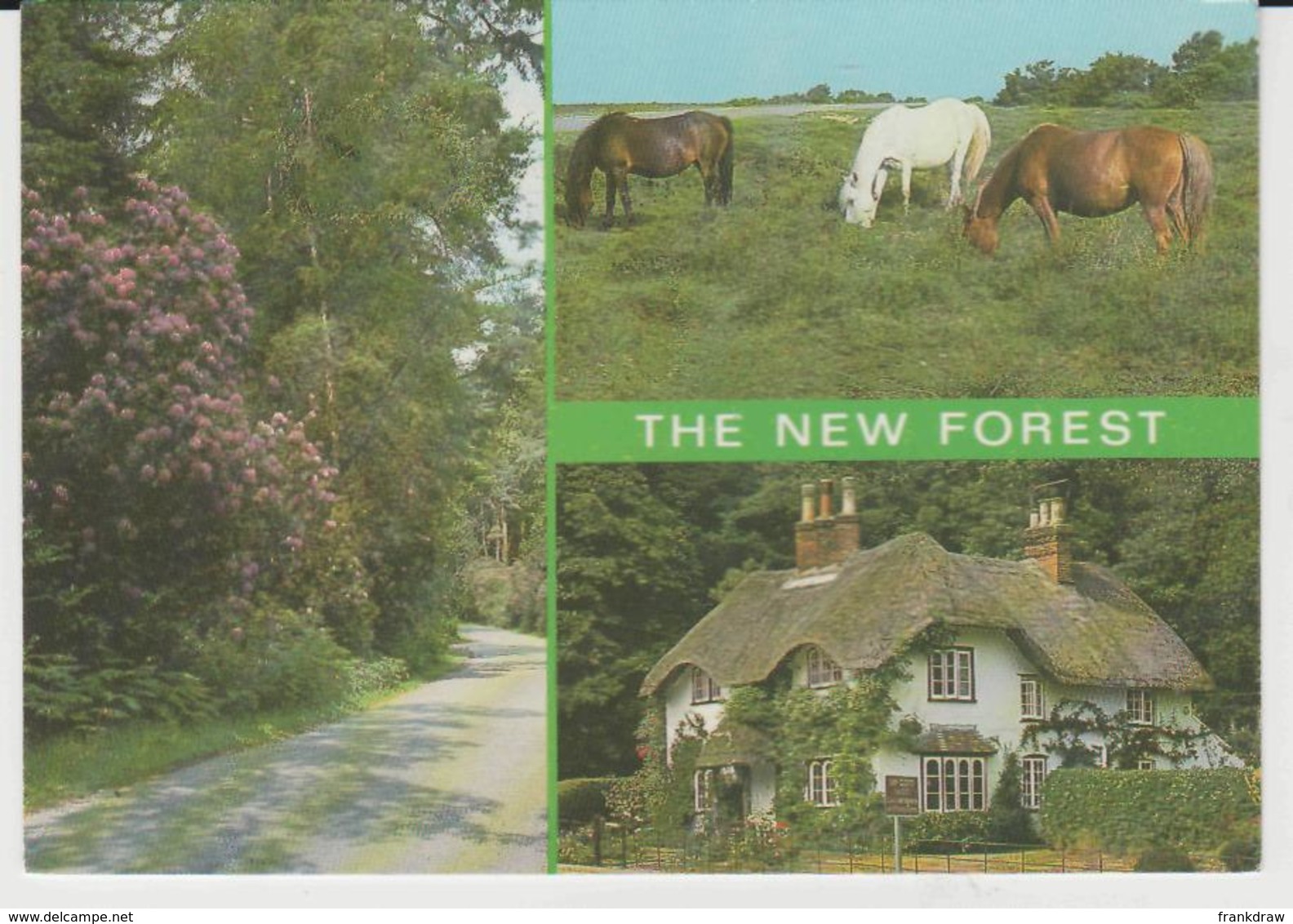 Postcard - The New Forest Three Views - Posted 6th Aug 1986  Very Good - Non Classificati