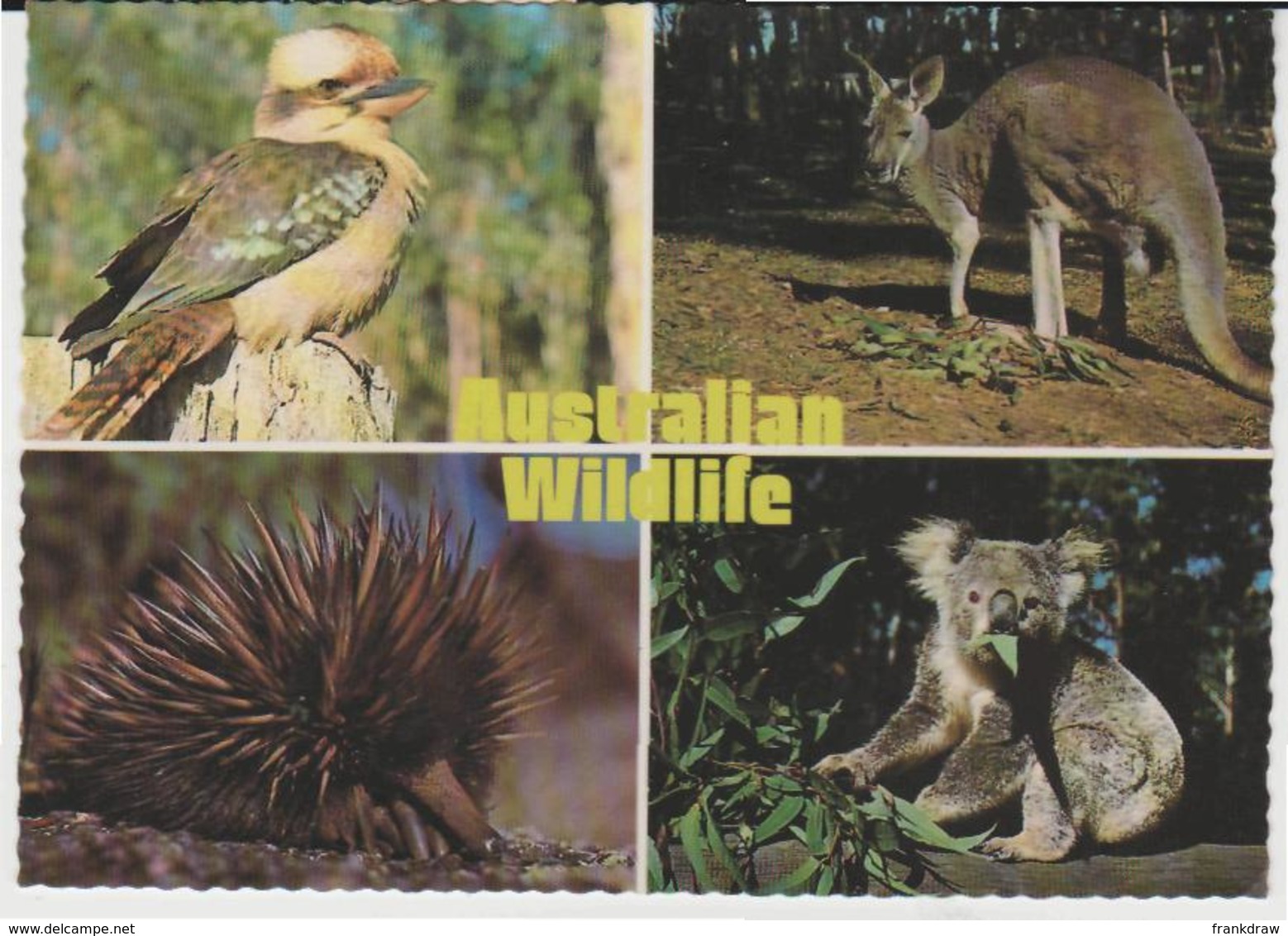 Postcard - Australian Wildlife Four Views - Posted But Date Unreadable Very Good - Unclassified