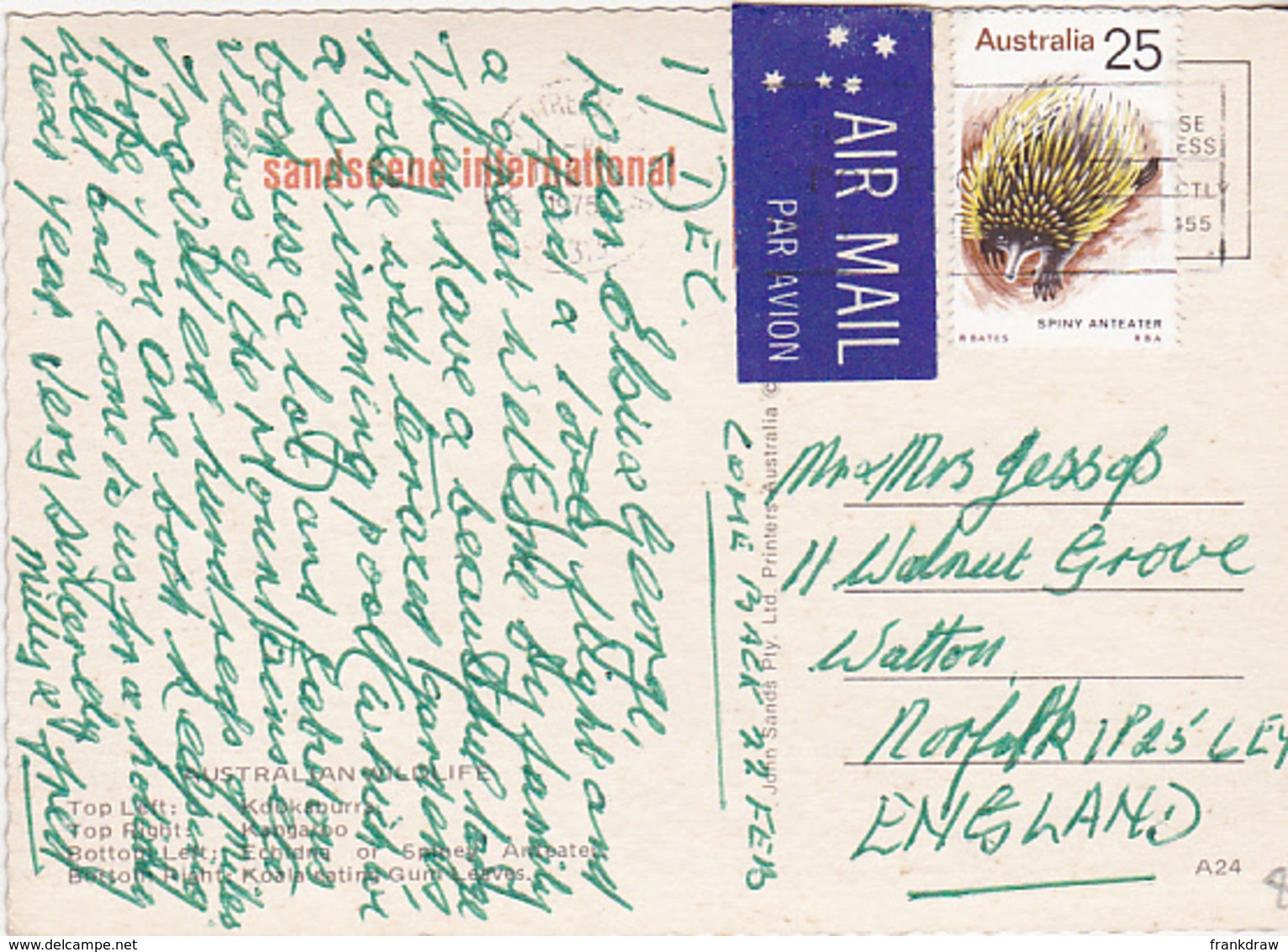 Postcard - Australian Wildlife Four Views - Posted But Date Unreadable Very Good - Unclassified