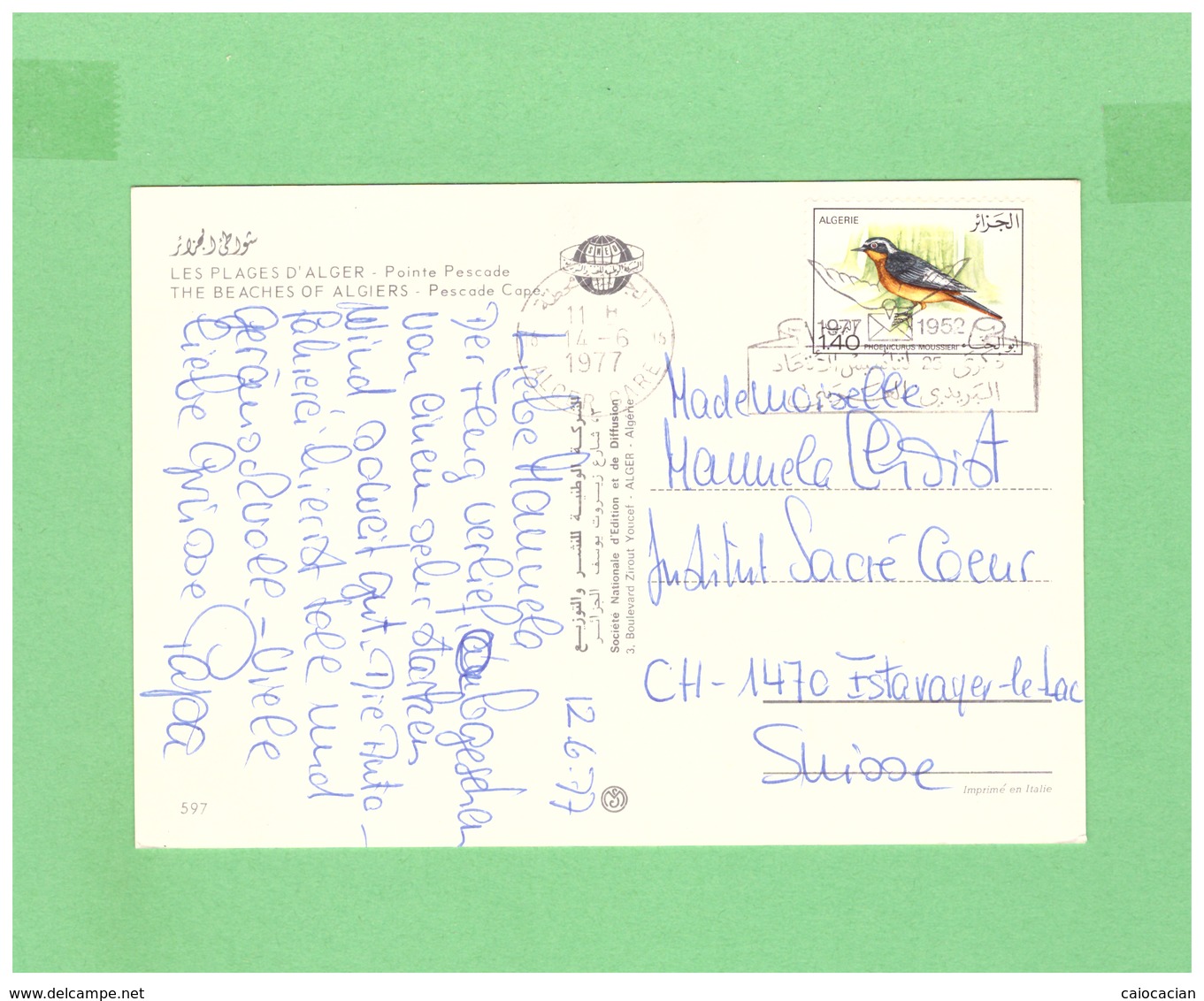 1977 ALGERIE POSTCARD WITH 1 STAMP TO SWISS - Algeria (1962-...)