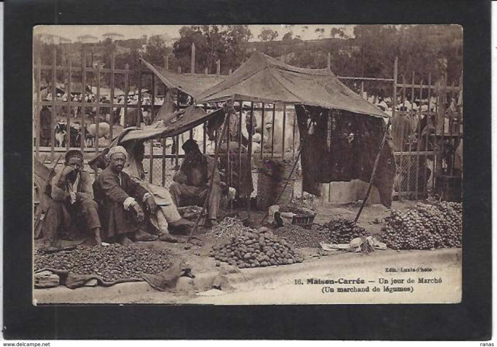 CPA Algérie Afrique Du Nord Maison Carrée Marché Market - Sonstige & Ohne Zuordnung