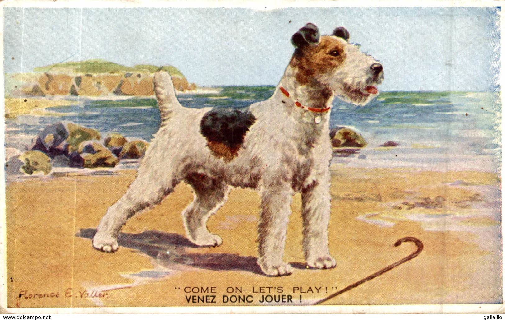 ILLUSTRATION SIGNEE FLORENCE E. VALTER FOX TERRIER - Valter, Fl. E.