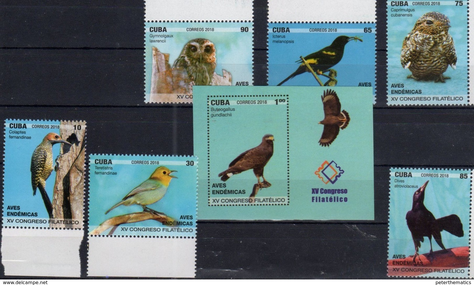 ENDEMIC BIRDS, 2018, XV PHILATELIC CONGRESS, OWLS, BIRDS, OF PREY, WOODPECKERS, INSECTS, 6v+S/SHEET - Owls