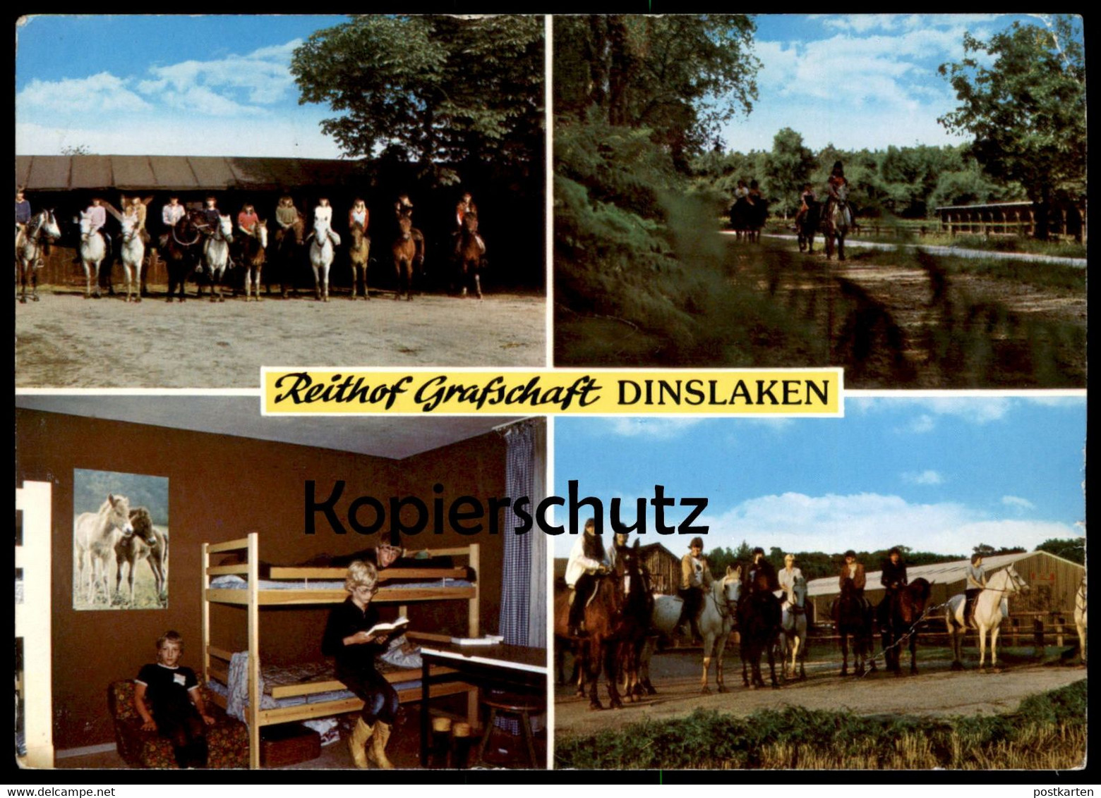 ÄLTERE POSTKARTE REITHOF GRAFSCHAFT DINSLAKEN Pferde Pferd Stockbett Ausritt Reiterhof Ansichtskarte AK Cpa Postcard - Dinslaken