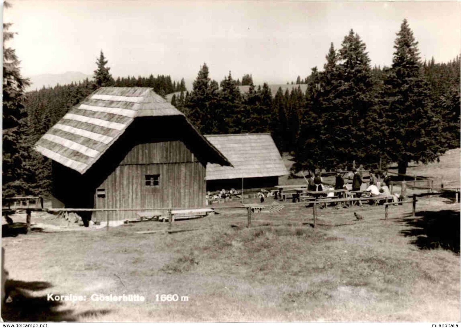 Koralpe - Göslerhütte 1660 M * 23. 7. 1962 - Wolfsberg