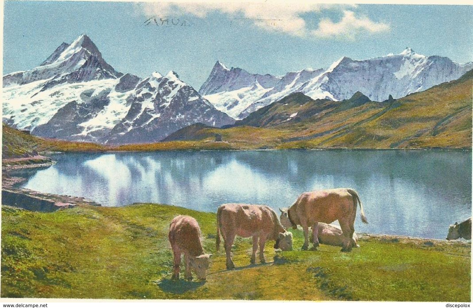 W1257 Grindwald - Bachsee Am Faulhorn - Schreckhorn - Finsteraarhorn - Fiescherhorner / Viaggiata 1962 - Wald