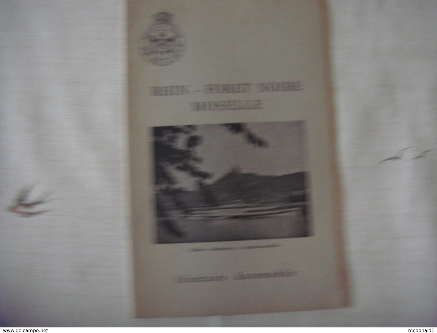 Livre Dépliant Touristique -Touring Club De Belgique 19??- RHIN - FORET NOIRE - MOSELLE ( Deutschland France ) - Dépliants Touristiques