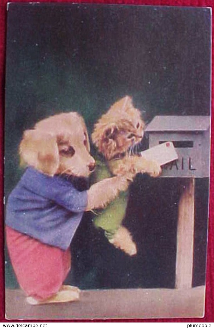 Cpa  CHAT Et CHIEN HABILLES , METTRE UNE LETTRE En BOITE, KITTEN PUPPY DRESSED CAT & DOG MAILBOX  Old PHOTO PC - Animaux Habillés