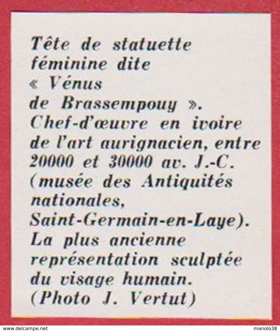 "Vénus De Brassempouy". Ivoire. France. Encyclopédie De 1970. - Autres & Non Classés