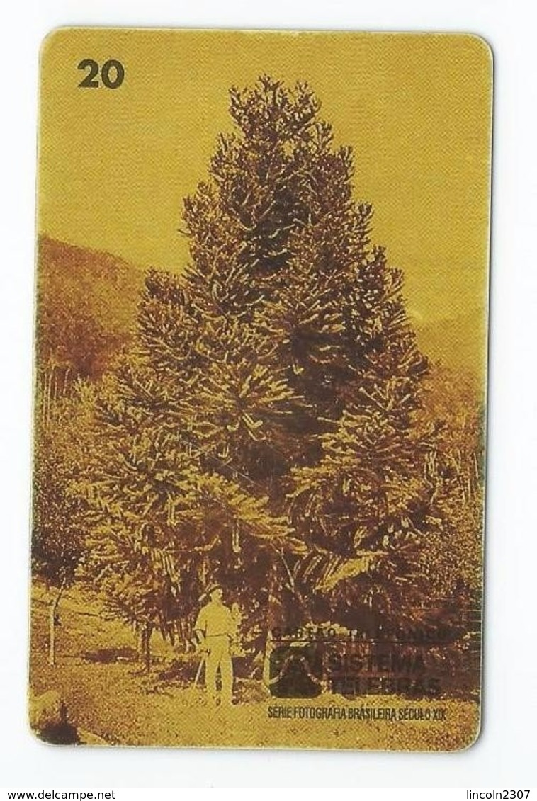 LSJP BRAZIL PHONECARD PINE TREE TELEBRAS - Brasilien