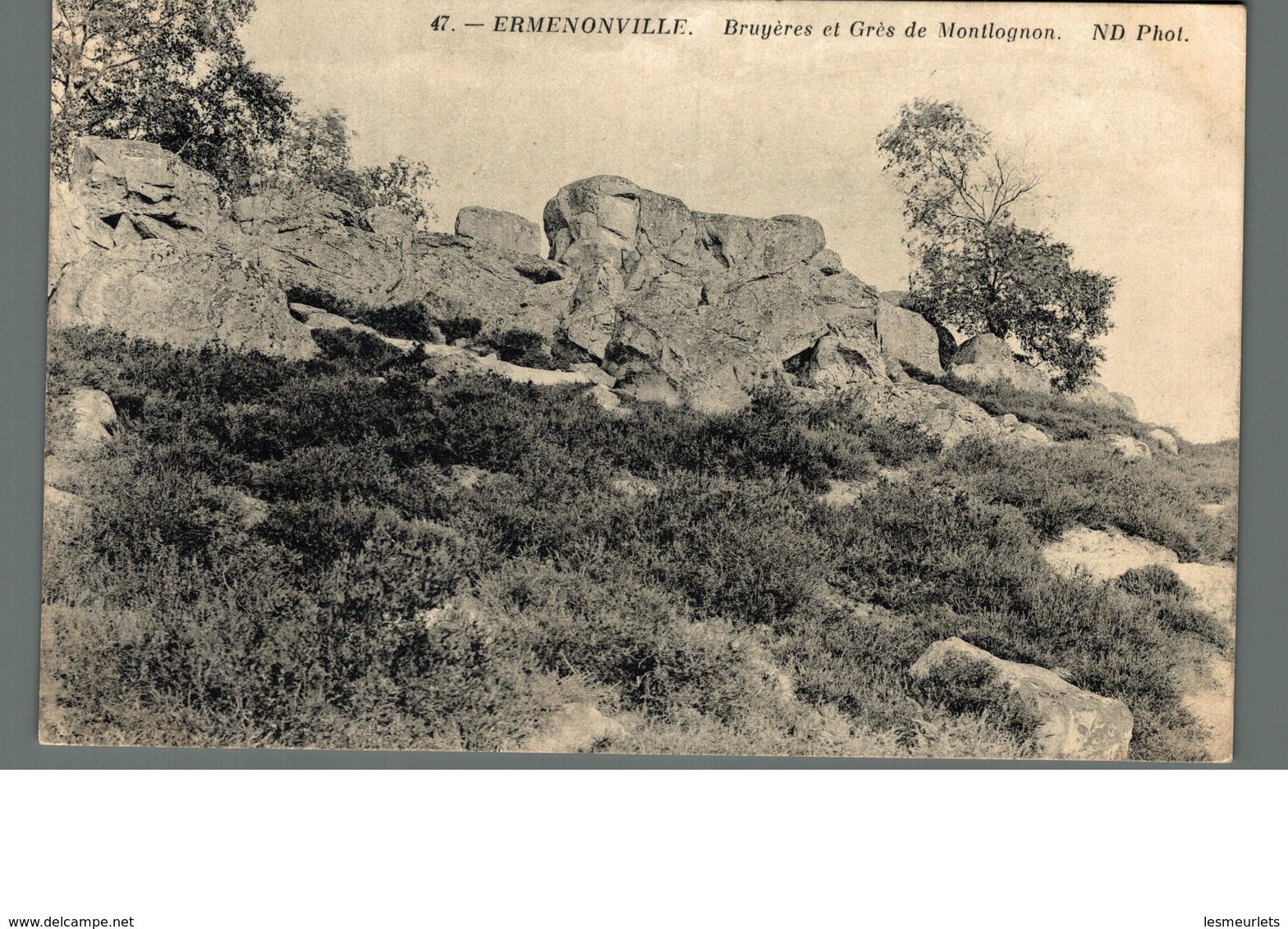 Cpa60 Ermenonville Bruyères Et Grès De Montlognon  Déstockage à Saisir - Ermenonville