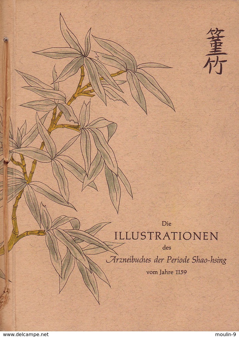 Die Illustrationen Des Arzneibuches Der Periode Shao-hsing Vom Jahre 1159 - Kunstführer