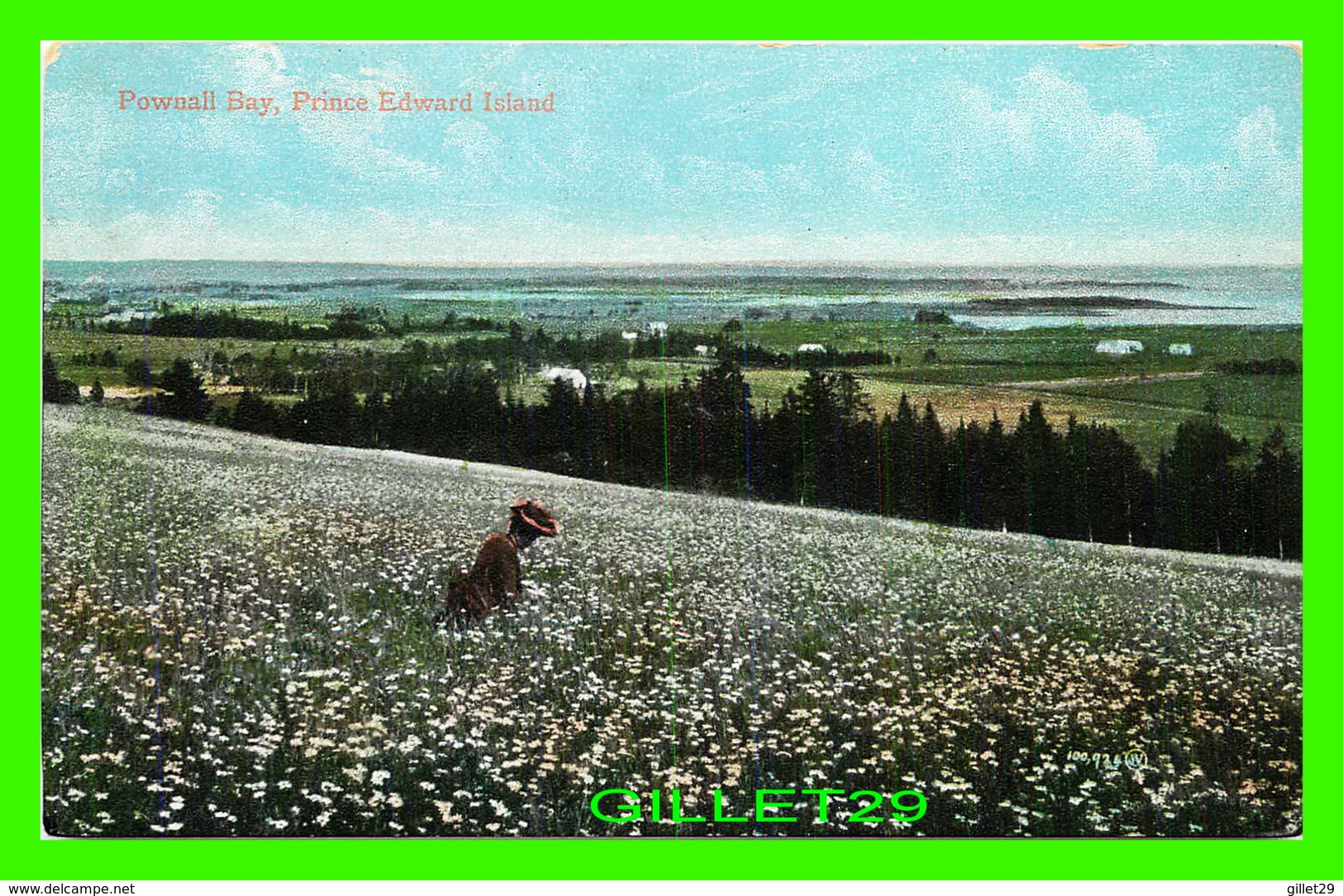 POWNALL BAY, PRINCE EDWARD ISLAND - WRITTEN - THE VALENTINE & SONS - - Other & Unclassified