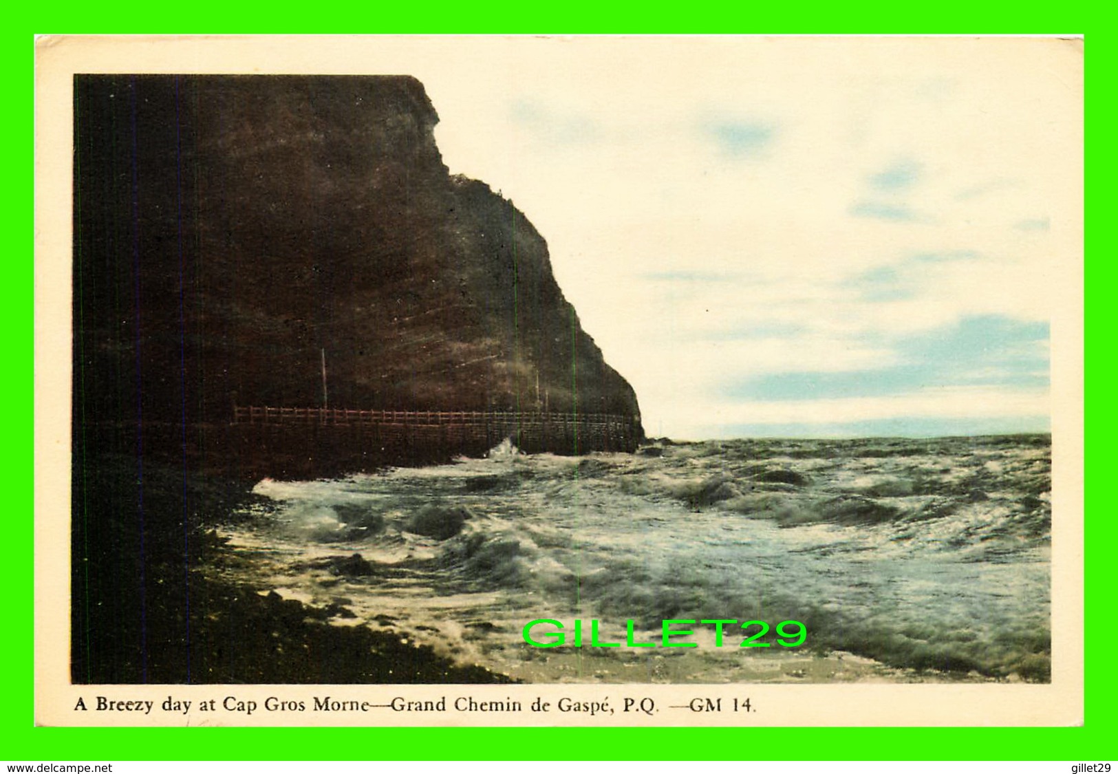 GASPÉ, QUÉBEC - A BREEZY DAY AT CAP GROS MORNE, GRAND CHEMIN DE GASPÉ - GM - PECO - - Gaspé