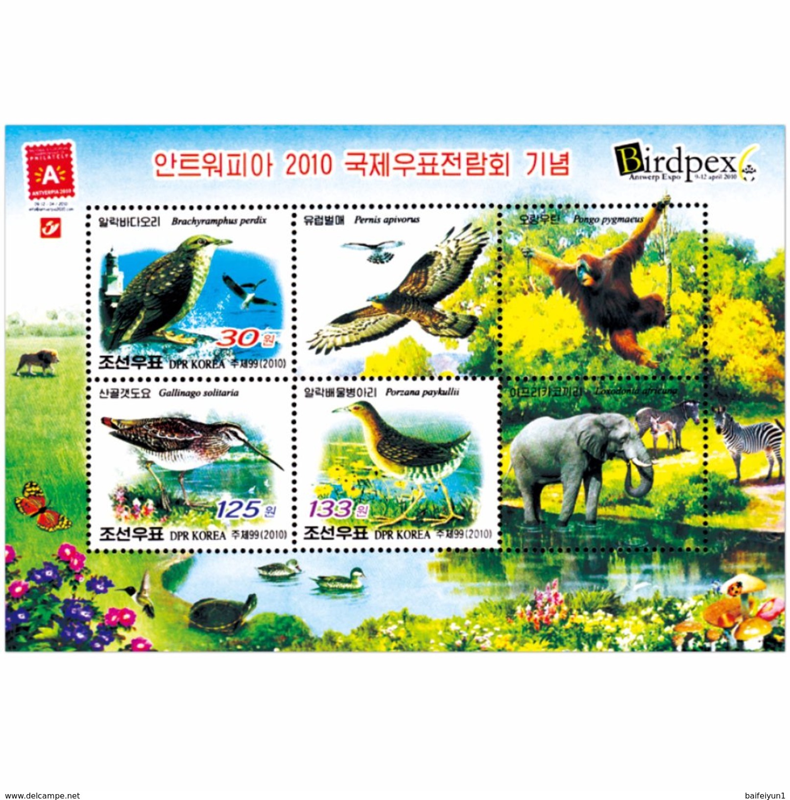 North Korea  2010 Antwerp International Stamp Exhibition Sheet - Korea, North