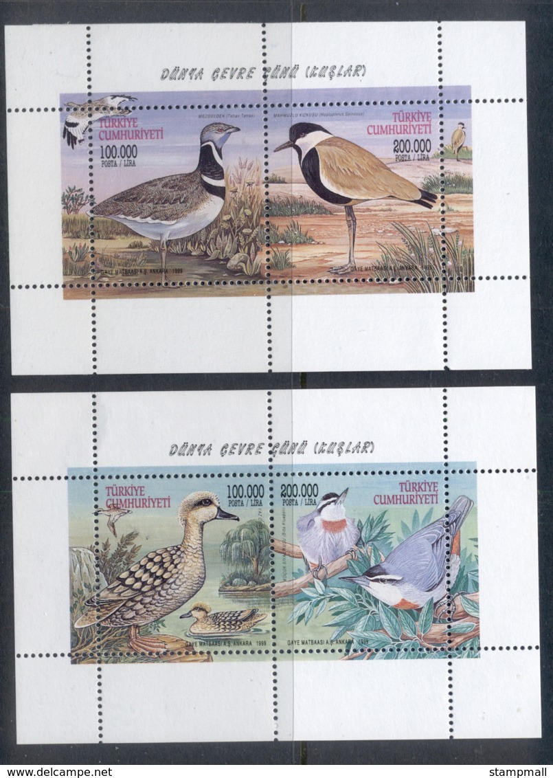 Turkey 1999 World Environment Day Birds 2x  MS MUH - Unused Stamps