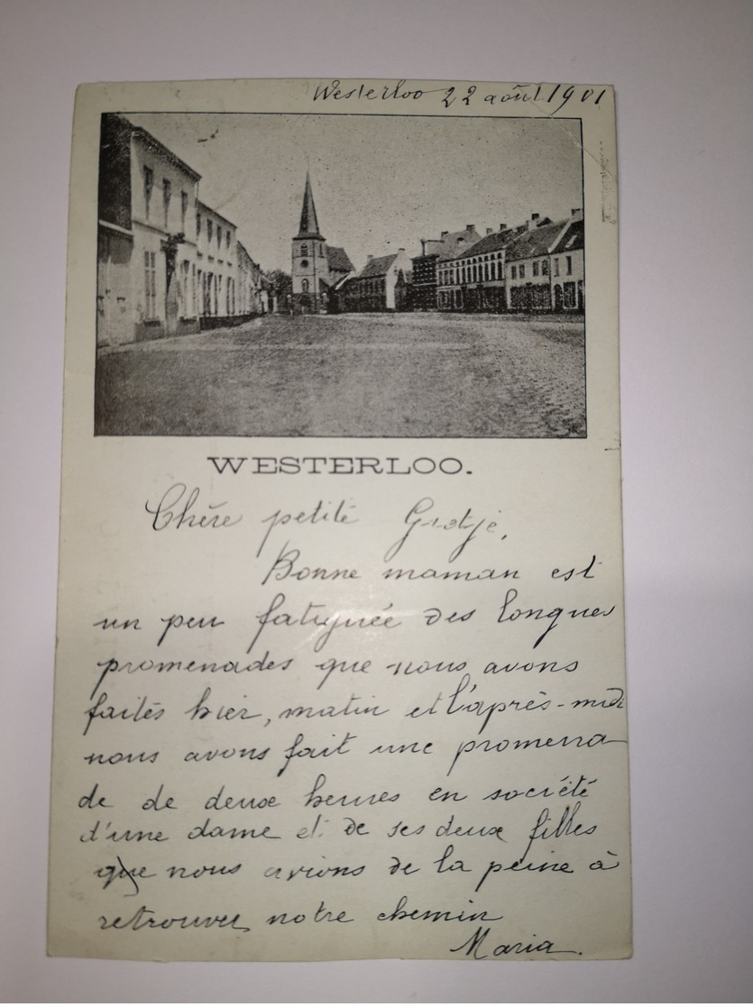 Westerloo - Westerlo