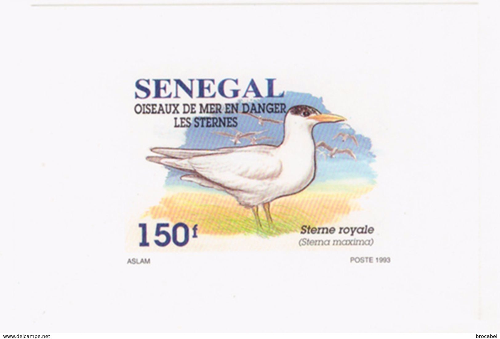 Senegal 1153/55  3 Feuillets De Luxe - Mouettes