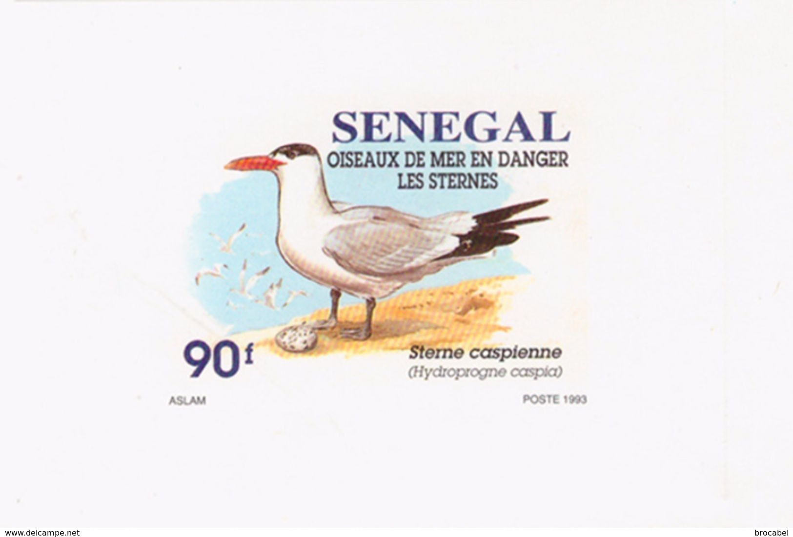 Senegal 1153/55  3 Feuillets De Luxe - Mouettes