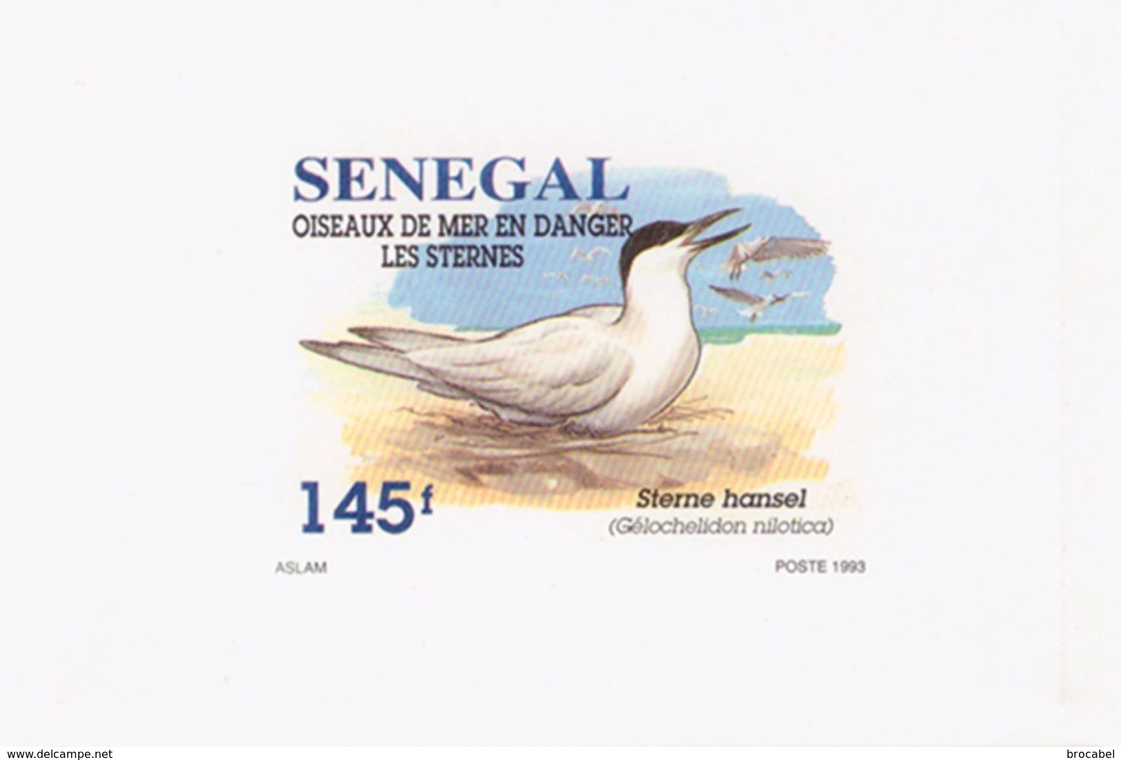 Senegal 1153/55  3 Feuillets De Luxe - Mouettes