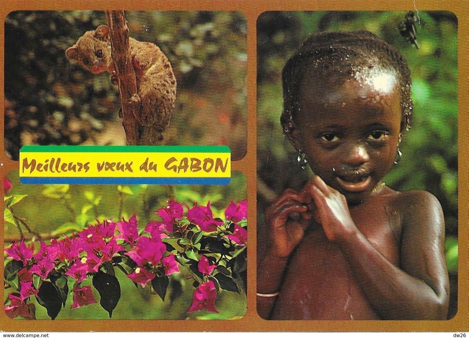 Meilleurs Voeux Du Gabon - Multivues: Nandinie (cilvette), Bougainvillée, Gamine Prenant Son Bain - Gabon