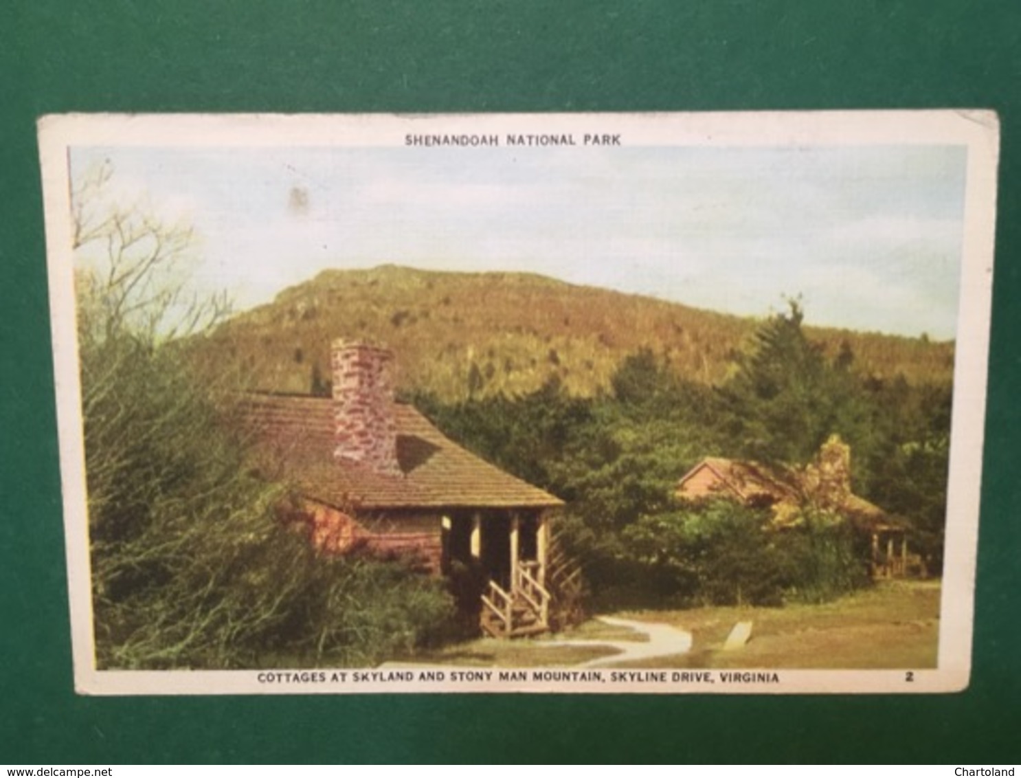 Cartolina Shenendoah National Park - Virginia - 1946 - Non Classificati