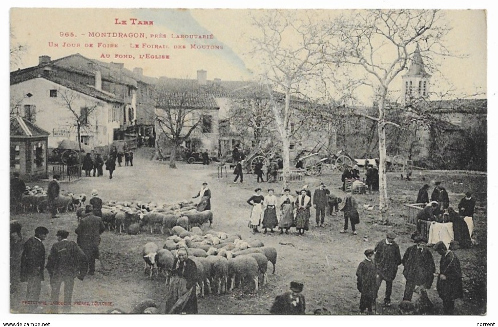 81 MONTDRAGON Près Laboutarié Un Jour De Foire  Le Foirail Des Moutons Au Fond L'église - Autres & Non Classés