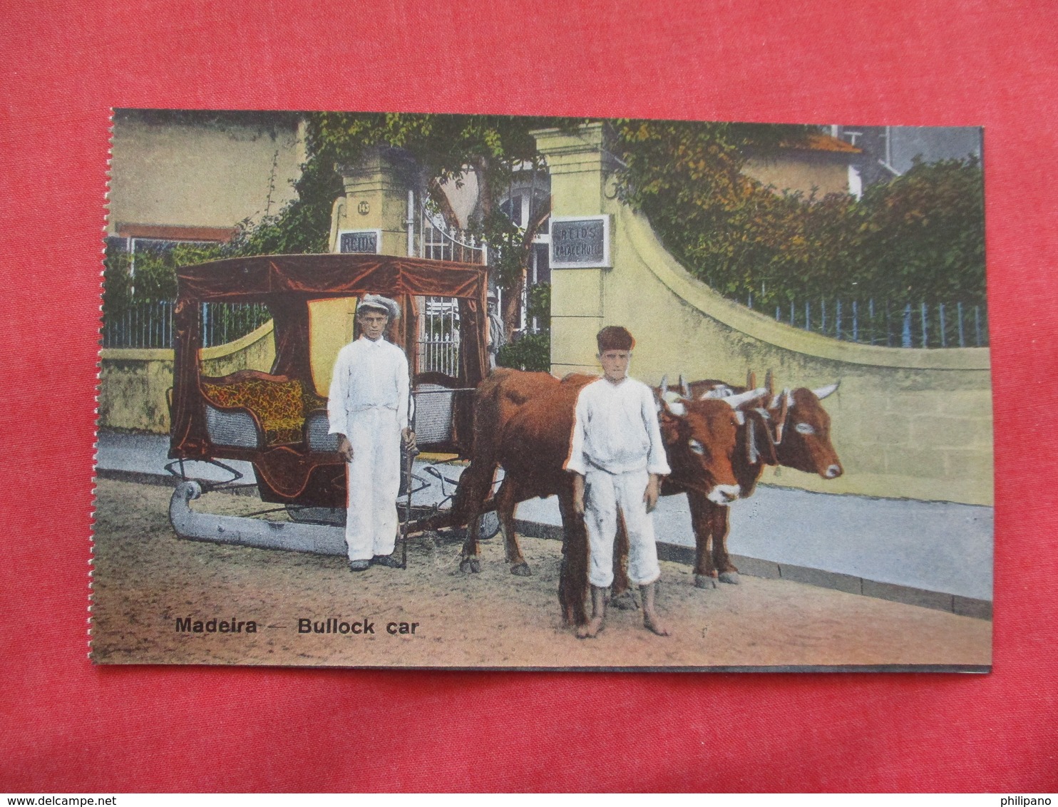 Bullock Car    Portugal > Madeira--  Ref 3175 - Madeira