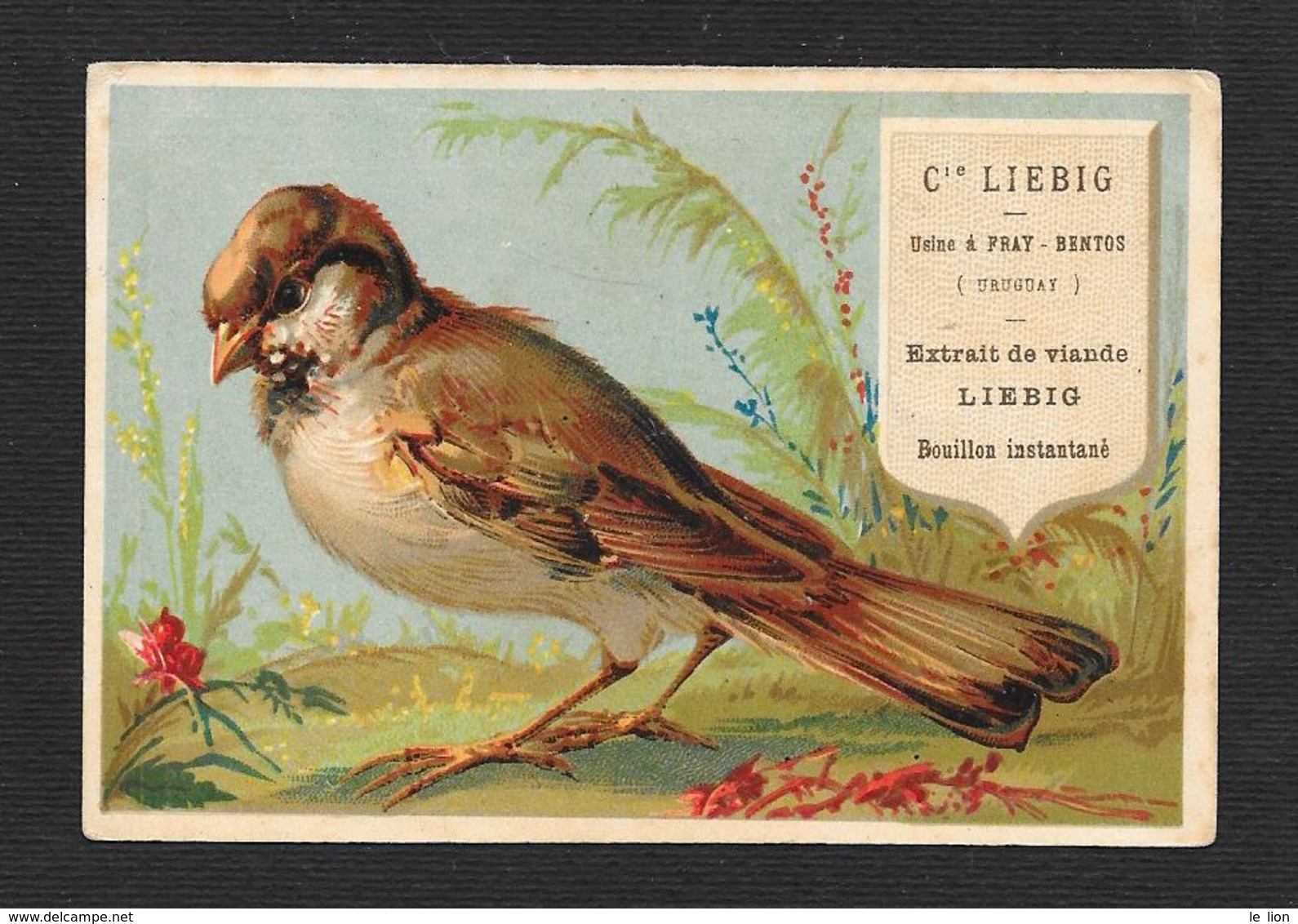 Chromo Liebig RARA S64 1a Edizione A-uccello Bruno Fiore Rosso  DANGIVILLE'- 1878 -OTTIMO STATO - Liebig