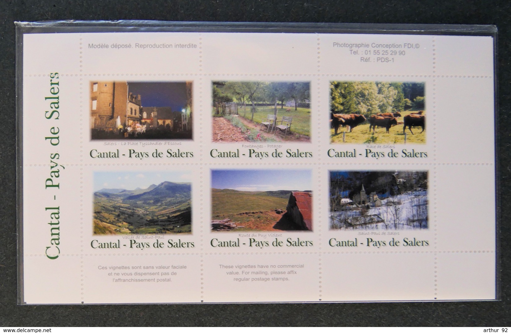 FRANCE - SALERS - CANTAL - VIGNETTES LOCALES - Other & Unclassified