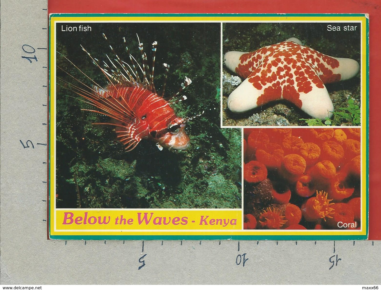 CARTOLINA VG KENIA - Below The Waves - Pesci Fish - 12 X 17 - ANN. 1992 - Kenia