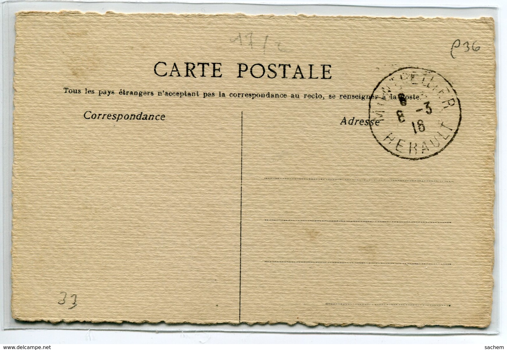 CHIENS  MILITARIA Chien Patriote  Carte Peinte Main Timbrée 1916     D01 2019 - Chiens