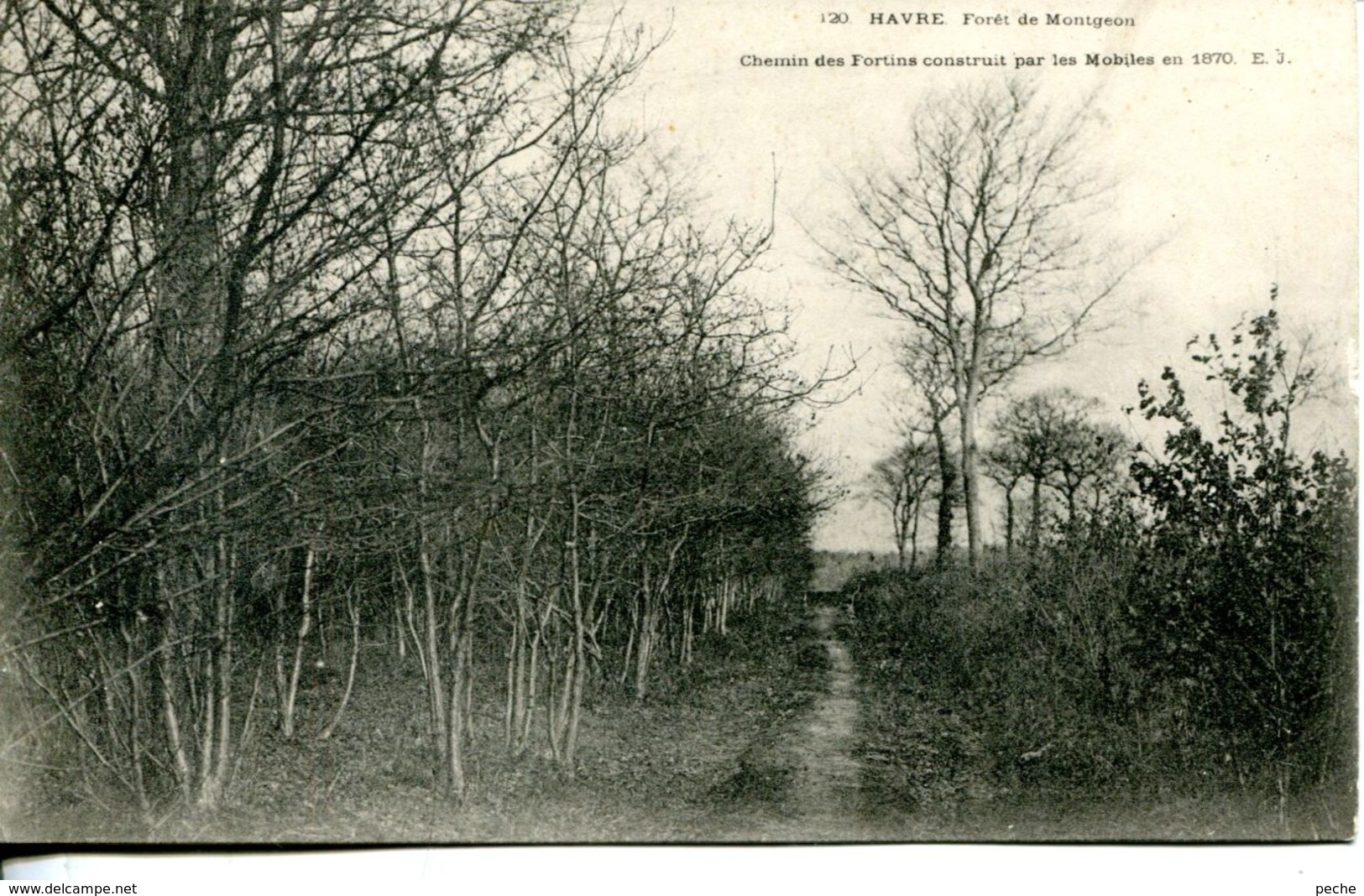 N°69492 -cpa Le Havre -bois Des Hallates- - Forêt De Montgeon