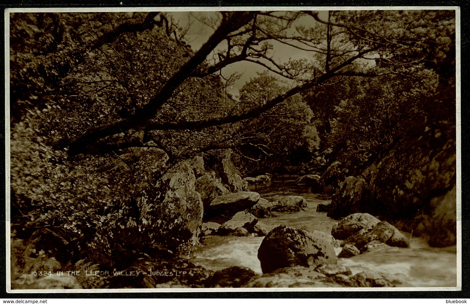 Ref 1268 - Judges Real Photo Postcard - In The Lledr Valley - Snowdonia - Caernarvonshire Wales - Caernarvonshire