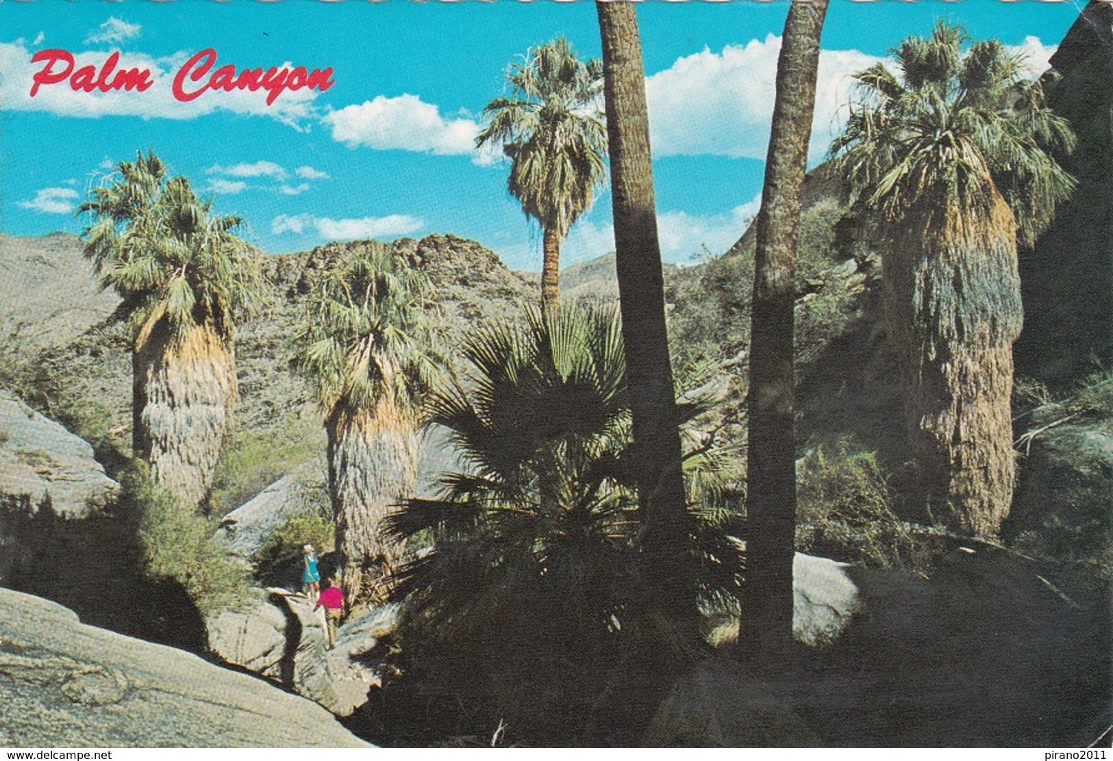 Palm Canyon - Palm Springs