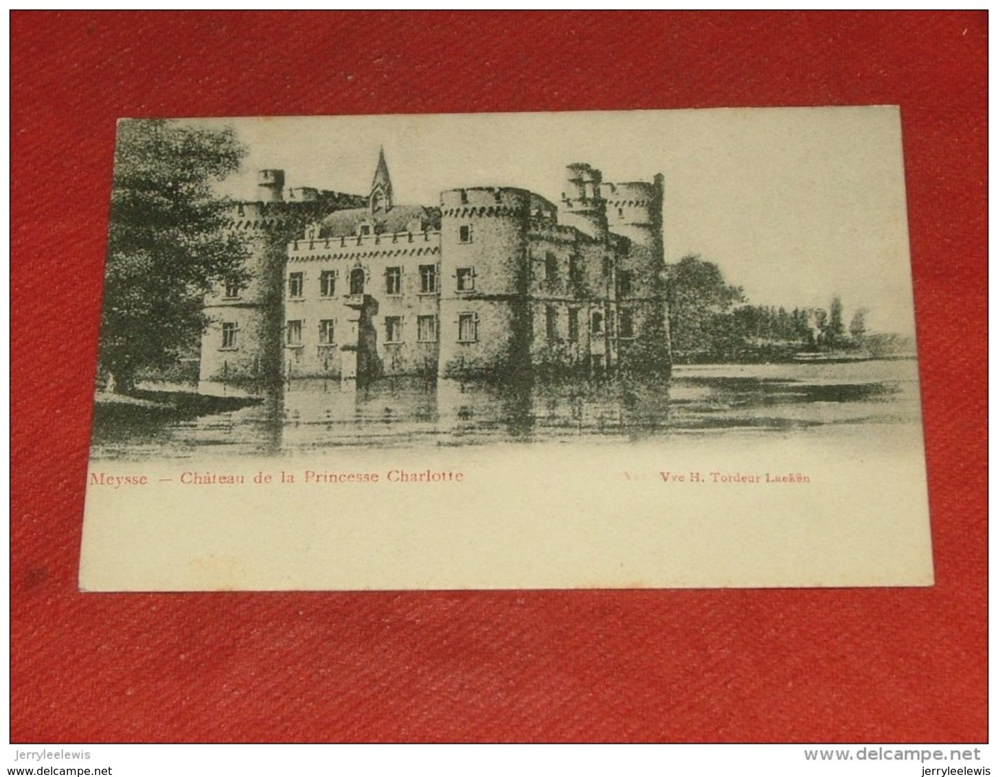 MEISE - MEYSSE  -  Château De La Princesse Charlotte - Meise