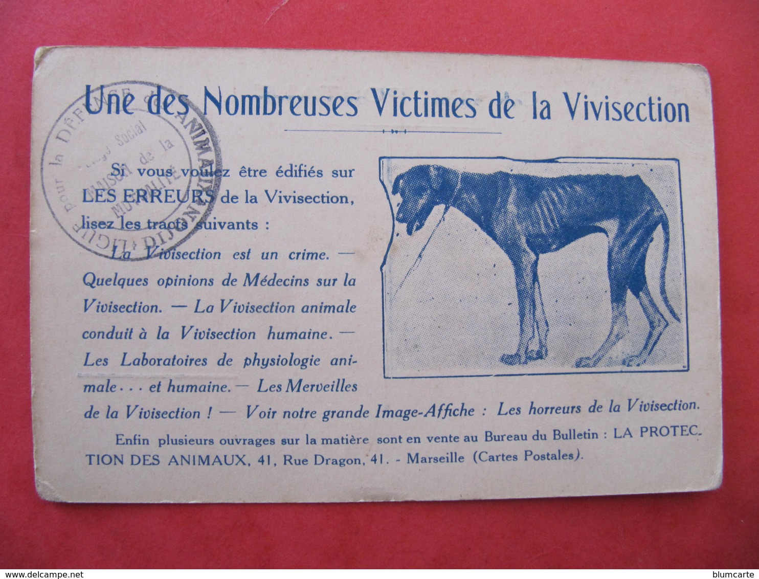 CPA -CHIEN - VICTIME DE LA VIVISECTION - LIGUE POUR LA DEFENSE DES ANIMAUX DE DIJON - Cani