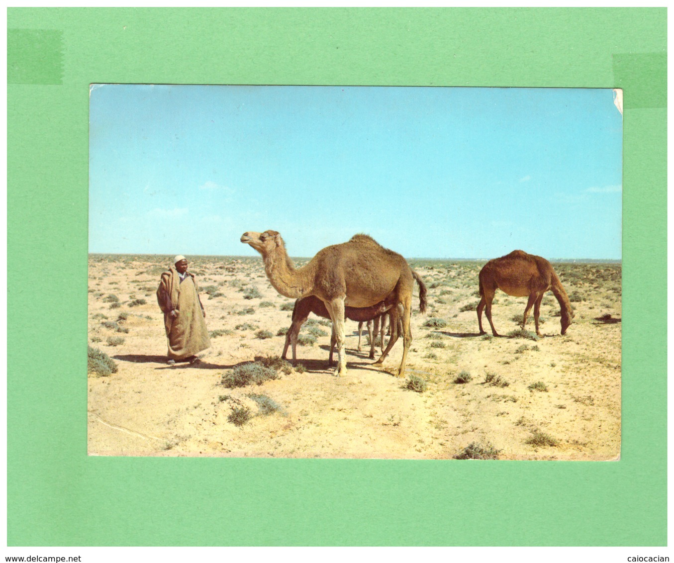 1969 LIBYA POSTCARD WITH 1 STAMP TO ITALY - Libia