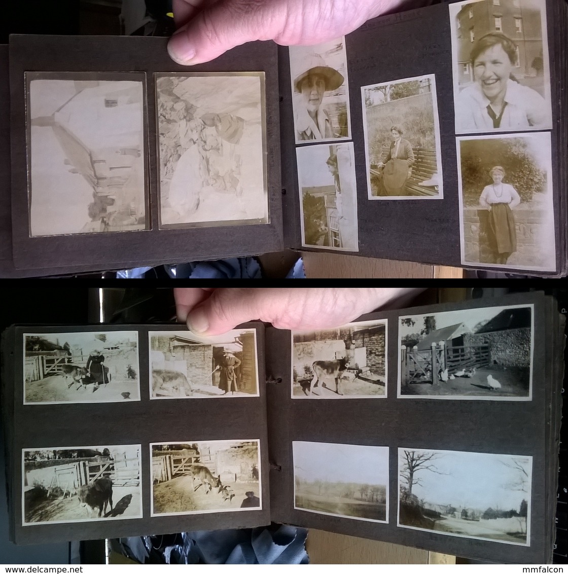 England Essex - Earls Colne 1920's Vintage album with 113 photos VG Condition School of Gardening Clapham - Boston House