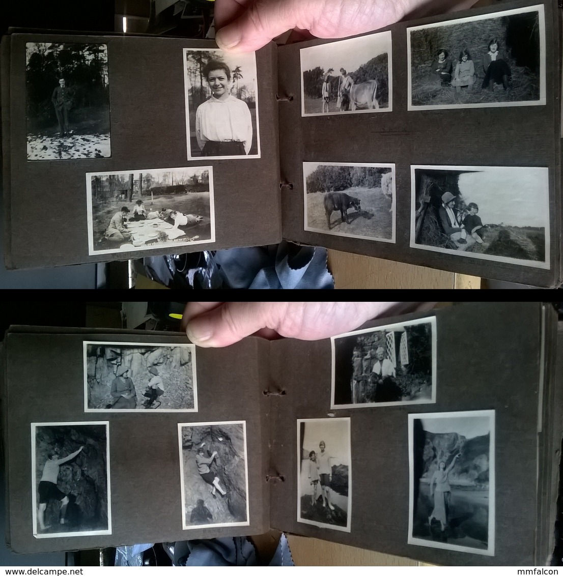 England Essex - Earls Colne 1920's Vintage album with 113 photos VG Condition School of Gardening Clapham - Boston House