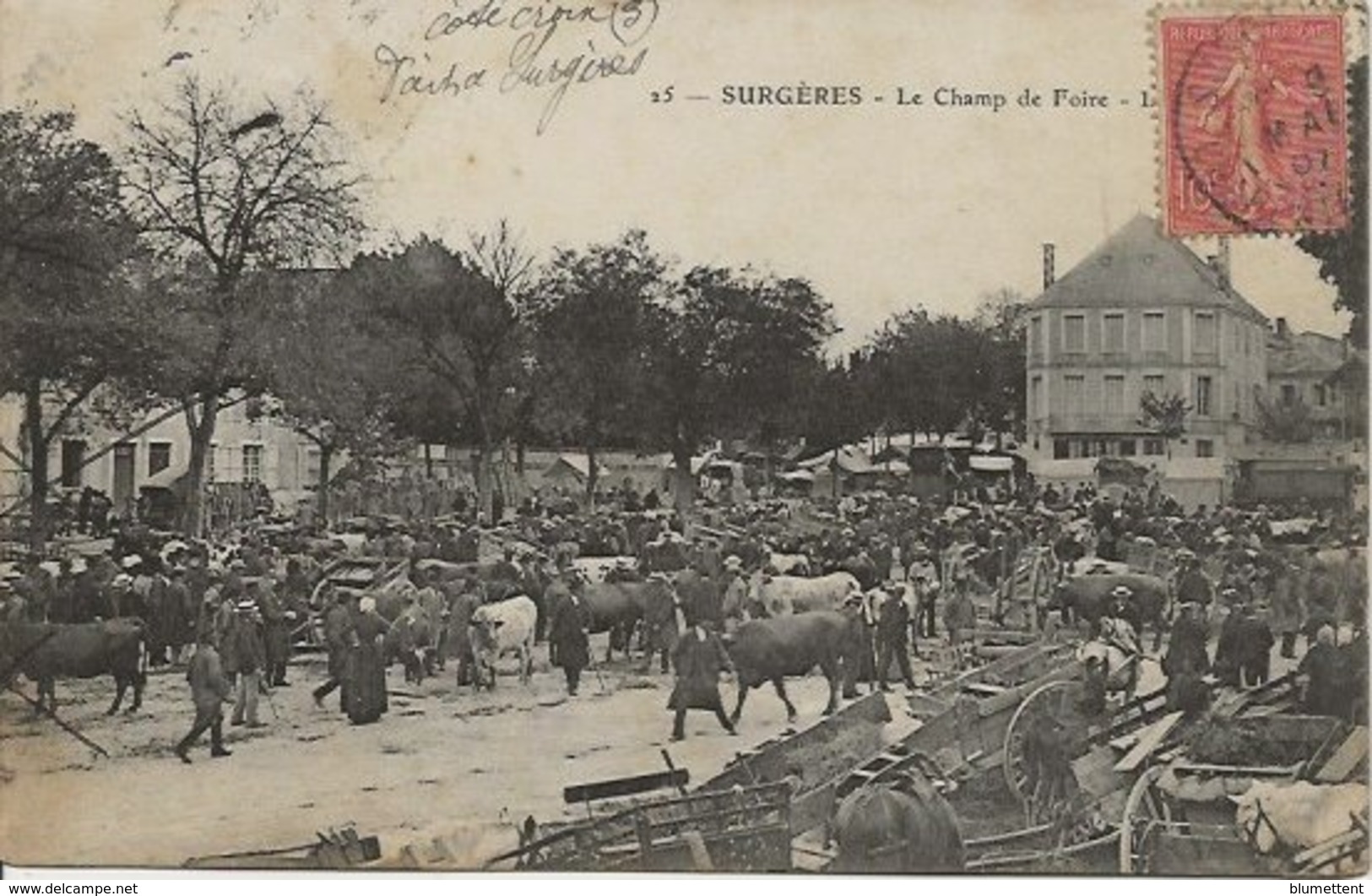 CPA 25 - Le Champ De Foire Marché Aux Bestiaux SURGERES 17 - Surgères