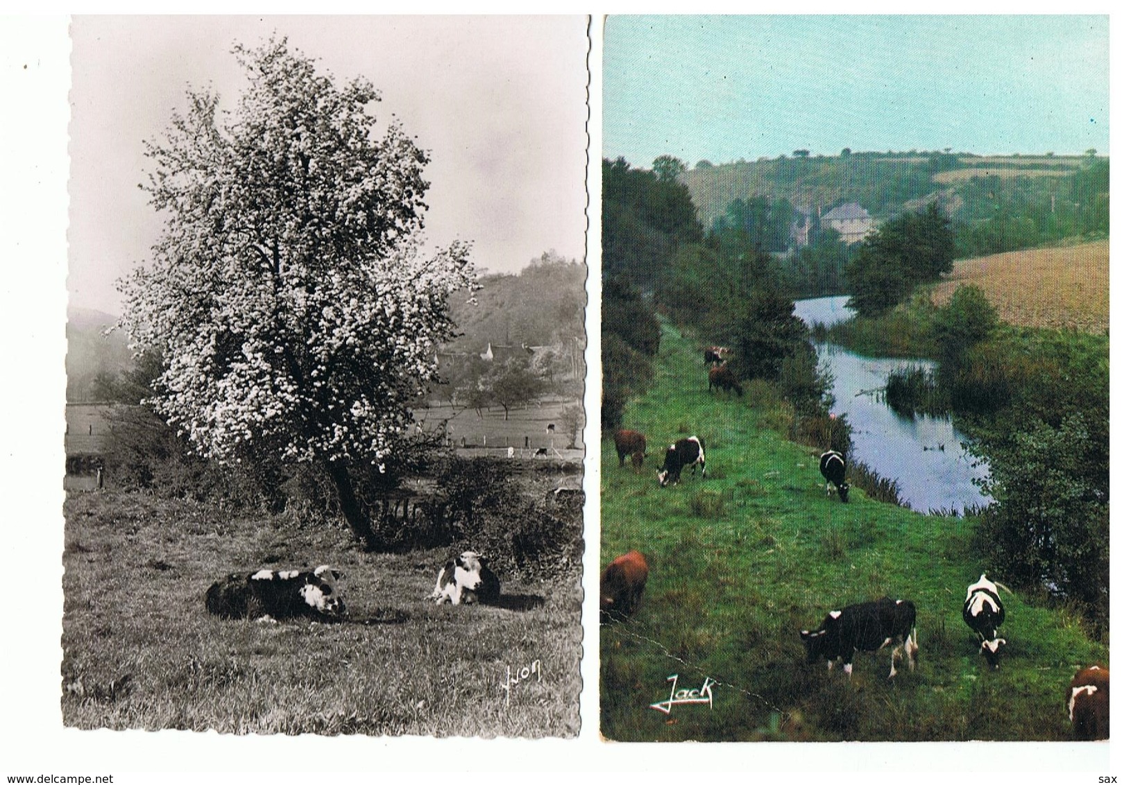 1908-631 10cp Vaches Diverses Dont 4 Bretagne  La Vente Sera Retirée Définitivement Le 11-11 - Vaches