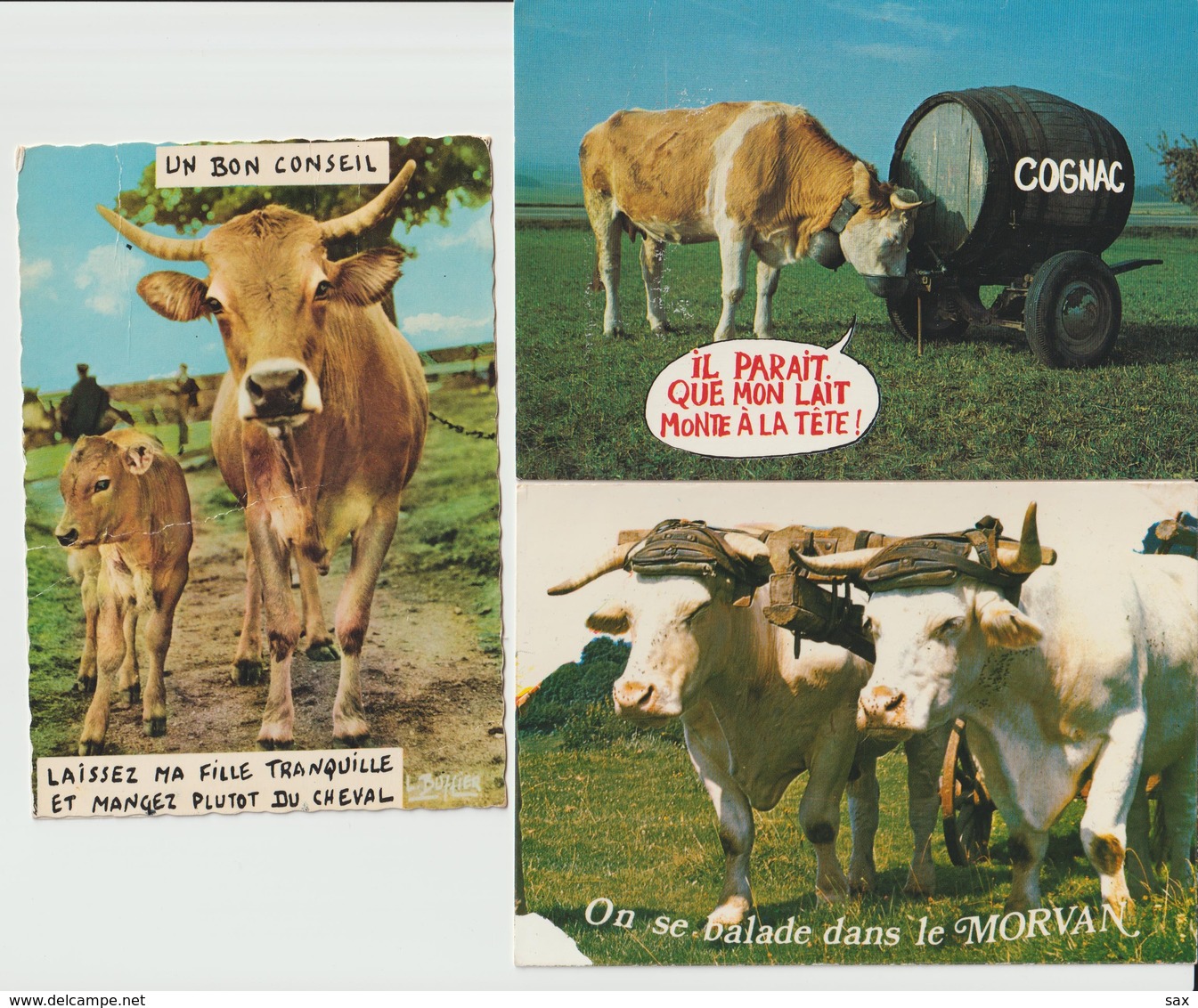 1908-631 10cp Vaches Diverses Dont 4 Bretagne  La Vente Sera Retirée Définitivement Le 11-11 - Cows