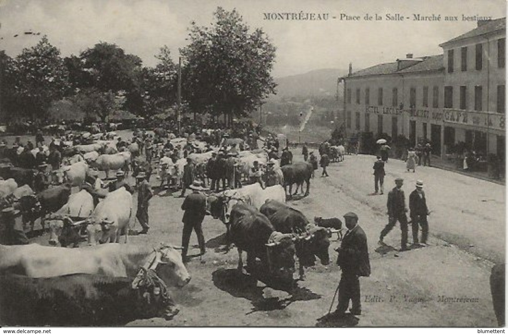 CPA Métier Maquignons Marché Aux Bestiaux Place De La Salle MONTREJEAU 31 - Montréjeau