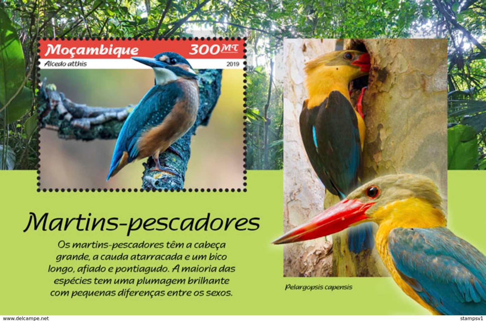 Mozambique. 2019 Kingfishers. (0111b)  OFFICIAL ISSUE - Other & Unclassified